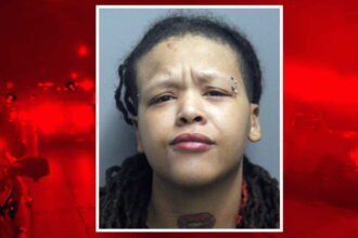Hit and run motorist drove past crash scene with victim’s hair embedded in windshied: police