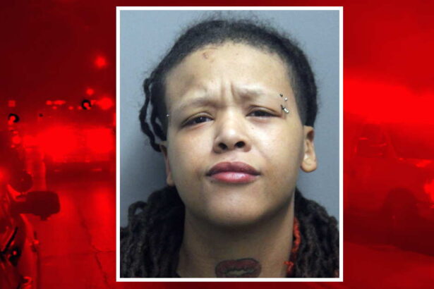 Hit and run motorist drove past crash scene with victim’s hair embedded in windshied: police