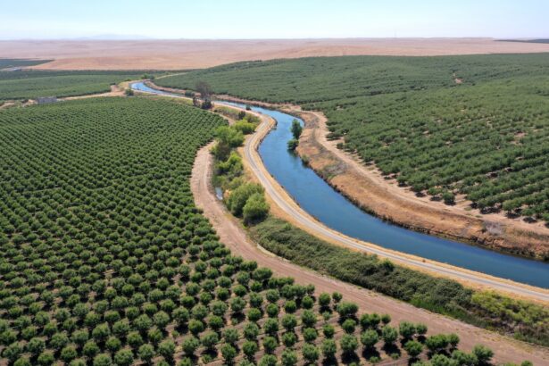 How California’s farmers can recharge the aquifers they’ve drained