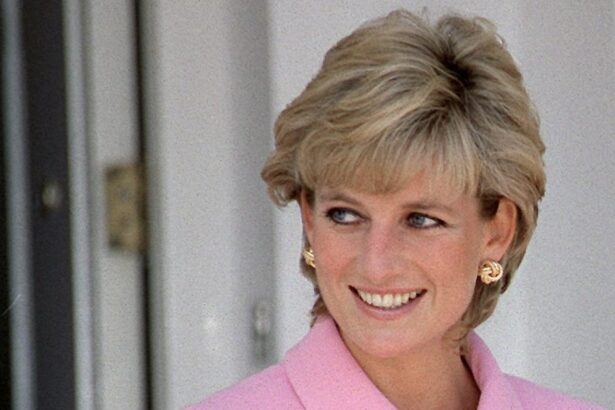 How Princess Diana Might React to Prince Harry’s BBC Interview