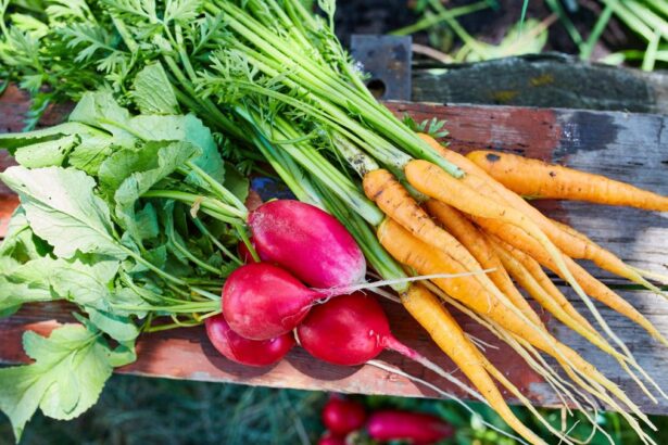 How To Maximize Your Vegetable Garden Harvest