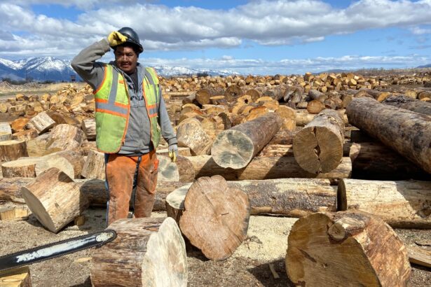 How the Washoe Tribe built a business to sustain a firewood bank that helps elders heat their homes