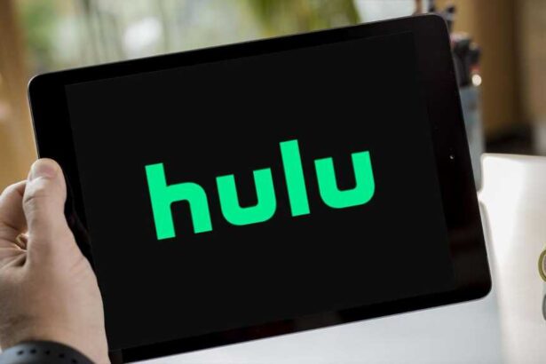How to Watch Hulu Outside the US