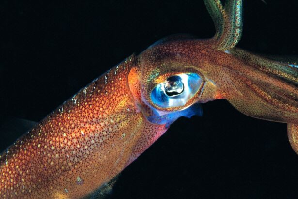 Humans have only seen 0.001 percent of the ocean floor