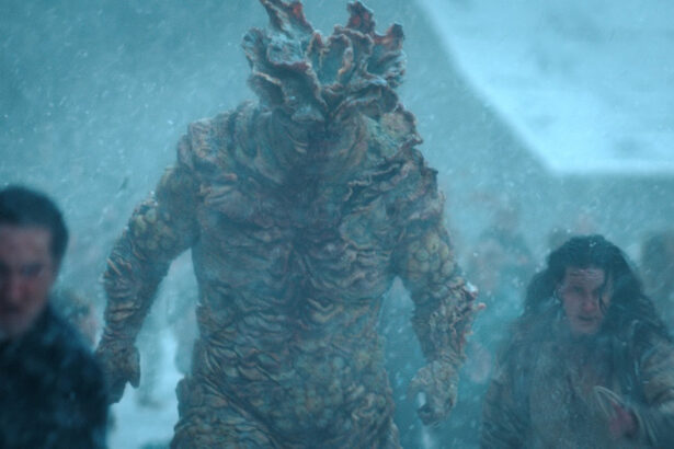 Humans have shockingly few ways to treat fungal infections