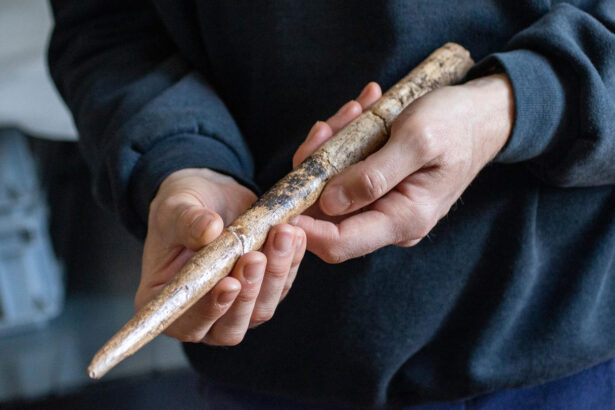 Humans used whale bones to make tools 20,000 years ago