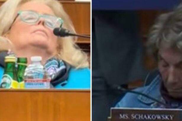 IT’S NAPTIME IN AMERICA: TWO Democrat Congresswomen Fall Sound Asleep During the Same Committee Hearing! (VIDEO) |