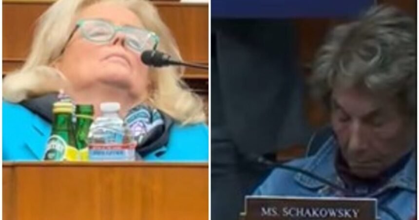 IT’S NAPTIME IN AMERICA: TWO Democrat Congresswomen Fall Sound Asleep During the Same Committee Hearing! (VIDEO) |