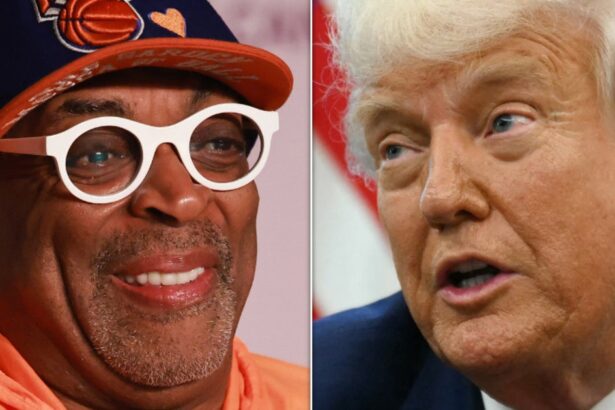 Iconic Director Trashes Trump With Muffled Cannes Mic-Drop