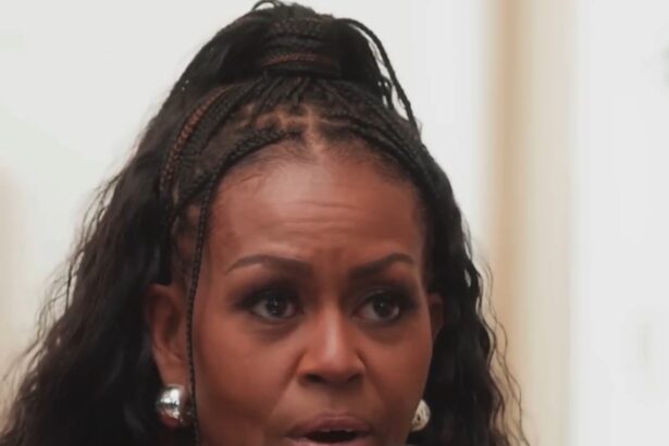 ‘If I Were a Single Girl’ – Michelle Obama’s Conversation with Airbnb CEO Raises Eyebrows (VIDEO) |