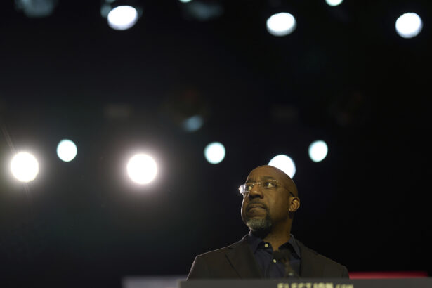 In Georgia, a fight over credit for its clean energy boom