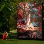 In ‘Of the Oak,’ a Magnificent Tree at Kew Gardens Gets an Immersive ‘Digital Double’ — Colossal