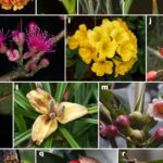 Indigenous wisdom ‘protects biodiversity’