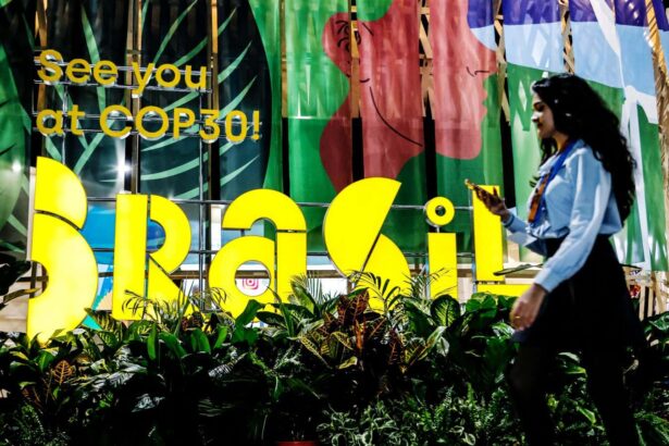 Is the COP30 climate summit already in crisis, with six months to go?