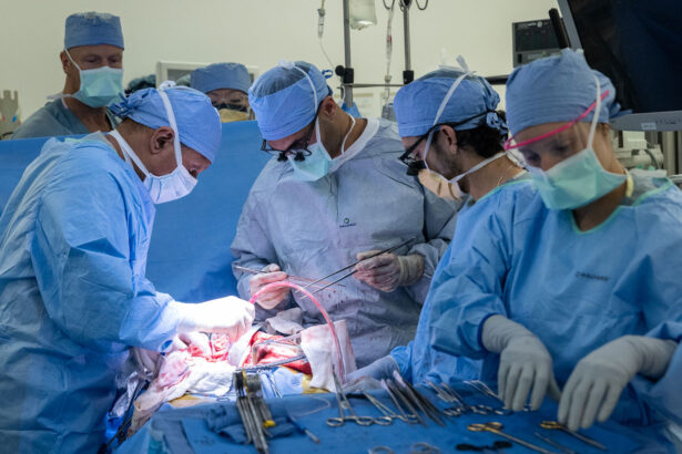 It’s tricky to transplant a bladder. How surgeons finally did it