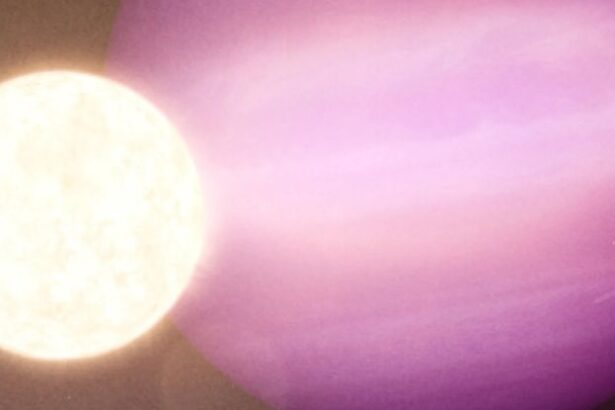 JWST Confirms Coldest Exoplanet Ever Found, Circling Its Dead Star : ScienceAlert