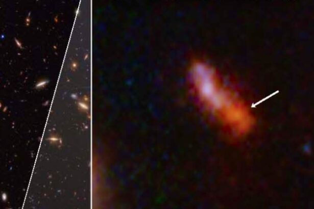 JWST Detects Most Distant Galaxy Yet, 280 Million Years After Big Bang : ScienceAlert