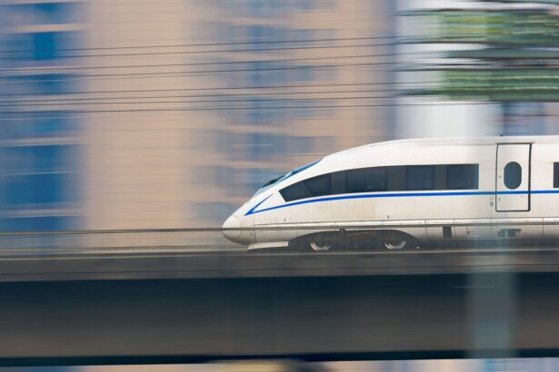 Japan’s Busiest Shinkansen Line Halted After Snake Spotted On Power Pole