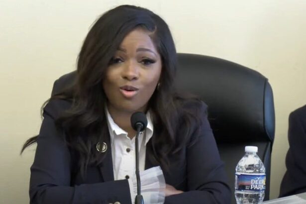 Jasmine Crockett Calls Out Democratic Donors For Trying To Pick A Safe White Guy For 2028