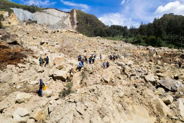 Landslide rescuers to get help from rapid analysis of seismic data
