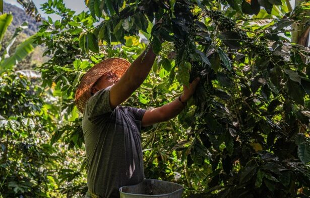 Latin America wary of US trade backlash as it builds relations with China