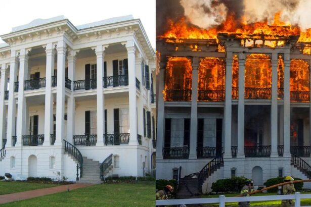 Leftists Celebrate as Nottoway Plantation, the Largest Remaining Antebellum Mansion in the South, Burned to the Ground |