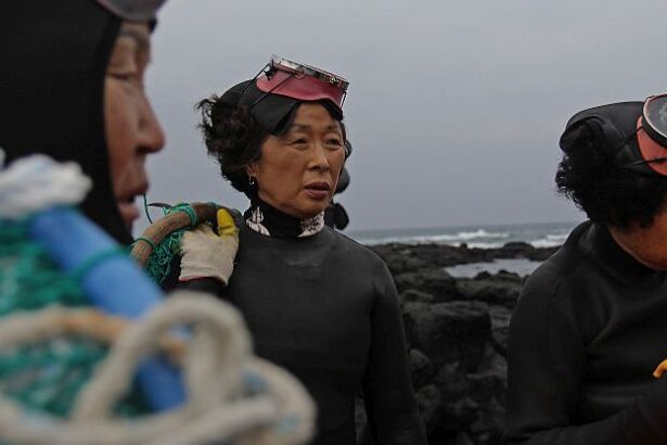 Legendary Female Free-Divers Reveal Evolution in Action on South Korean Island : ScienceAlert