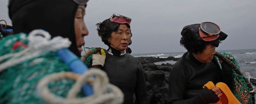 Legendary Female Free-Divers Reveal Evolution in Action on South Korean Island : ScienceAlert