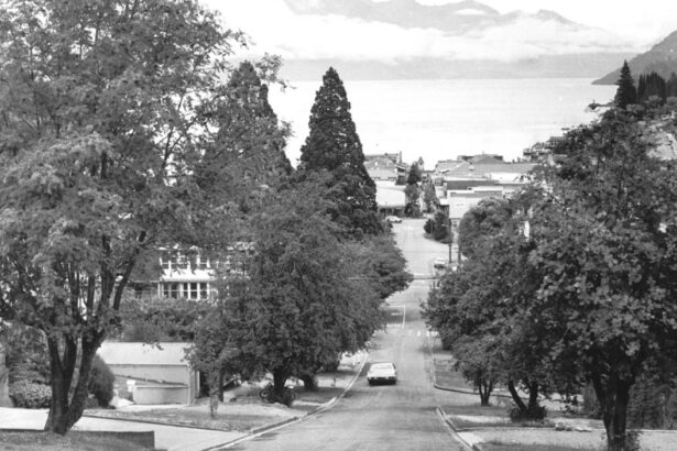 Letters to the Editor: Queenstown, Luxon, and clean energy