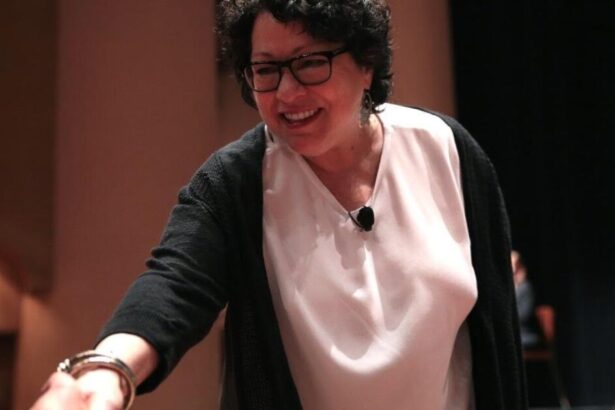 Liberal Supreme Court Justice Sonia Sotomayor Takes Veiled Shot at Trump After Roberts Public Rebuke |