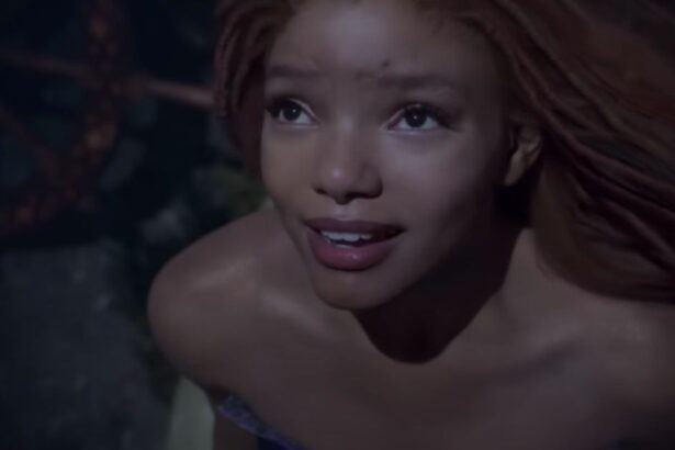 Little Mermaid Star Gets Restraining Order Against Rapper Ex-Boyfriend, Cites Violence and Fears for Their Baby’s Safety |