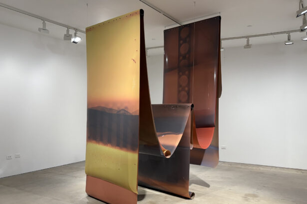 Lotus L. Kang’s Hopeful Doom Scrolling 