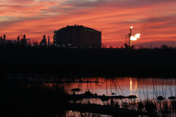 Louisiana already has 4 LNG terminals. It just added another.