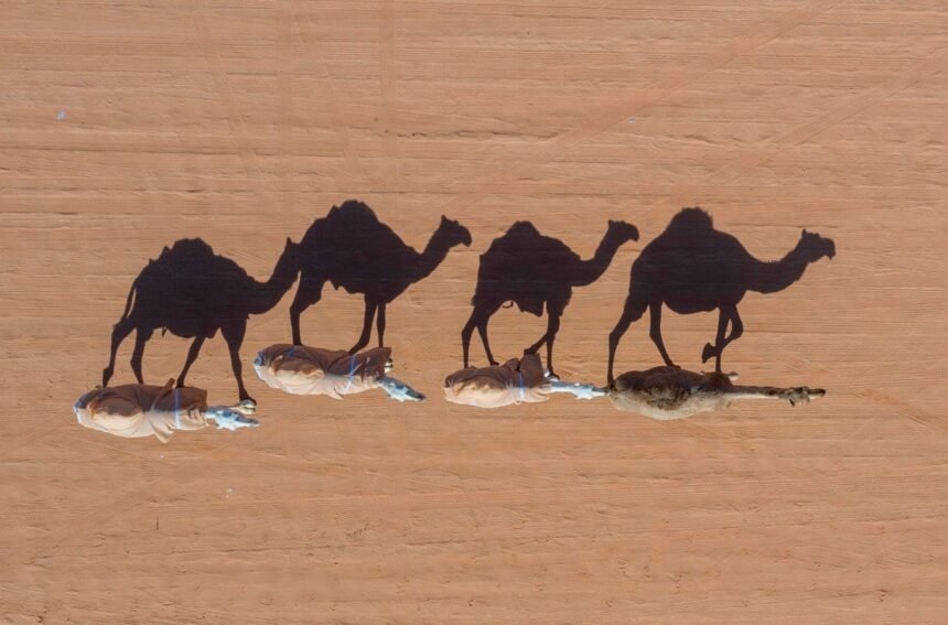 MERS Coronavirus Infection Remains A Threat In The Middle East