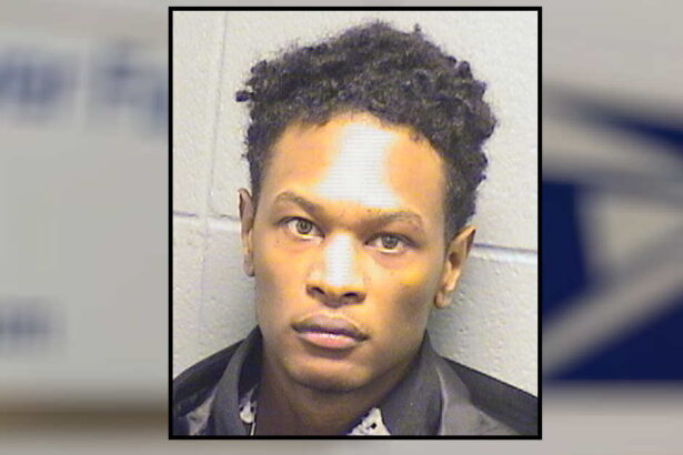 Magnificent Mile mail thief caught with 52 credit cards gets 4-year sentence