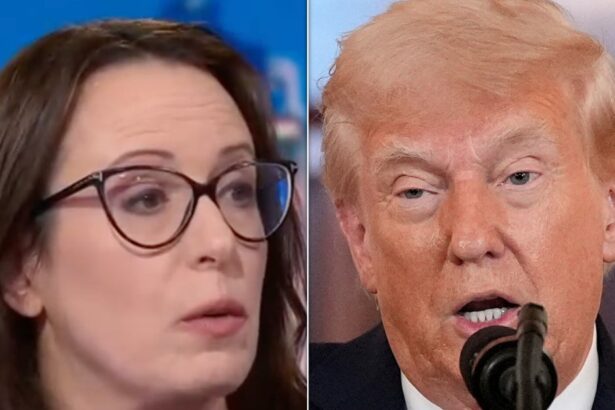 Maggie Haberman Knocks Trump For Putting On A ‘Front’ With This Wild Price Fantasy