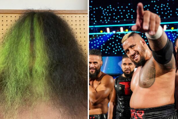 Major WWE star set for Backlash debut; Earth-shattering Bloodline plans reportedly in the works