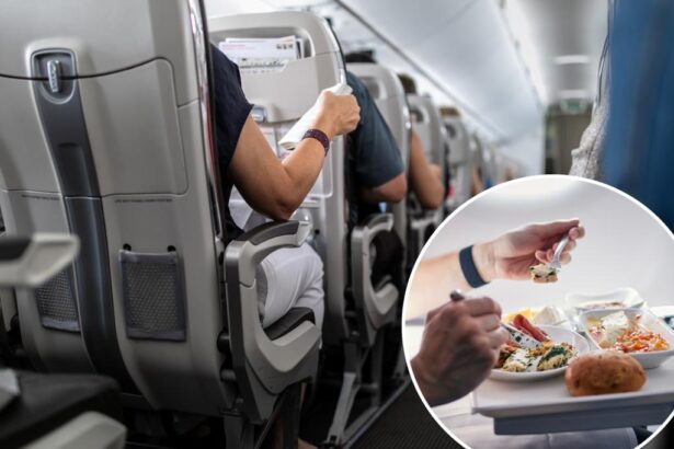 Man charged after allegedly touching passenger, their food on plane
