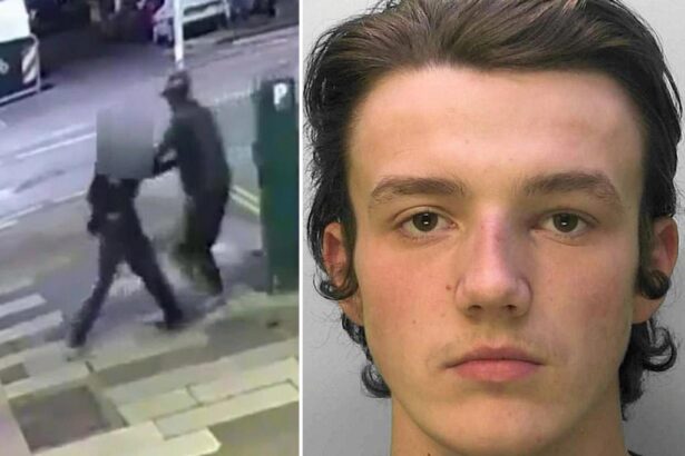 Man snatches woman off street at random caught on video