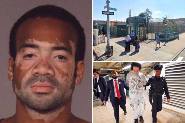 Maniac with 20 prior arrests busted in random attack on L.A. grandma, 70, in NYC subway station: sources