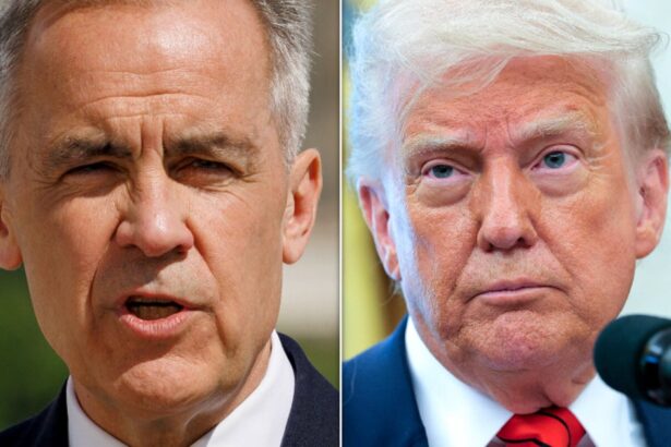 Mark Carney Takes Subtle Swipe At Trump After Awkward Oval Office Moment