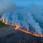 Massive wildfires in Canada helped keep the world cooler in 2023