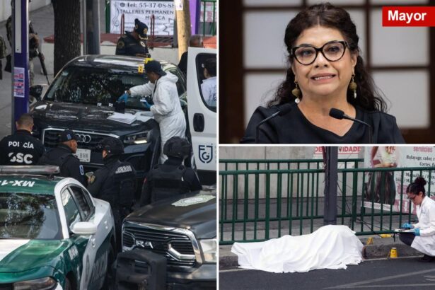 Mexico City’s mayor Clara Brugada personal secretary and adviser both shot dead