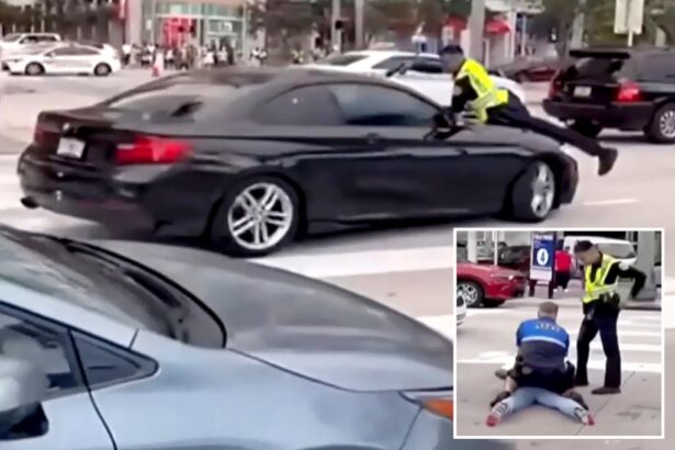Miami police officer seen clinging to hood of car before shooting driver