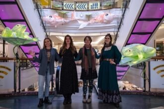 Midwinter Carnival preparation begins | Otago Daily Times Online News