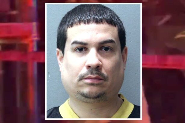 Migrant was murdered while trying to stop ‘Kia boys’ from stealing a car, prosecutors say