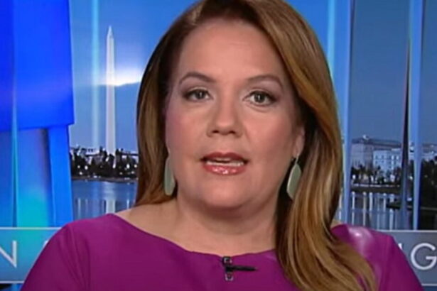 Mollie Hemingway Slams Activist Judges on Immigration: ‘They’re Saying, We Don’t Care Who Won the Election’ (VIDEO) |