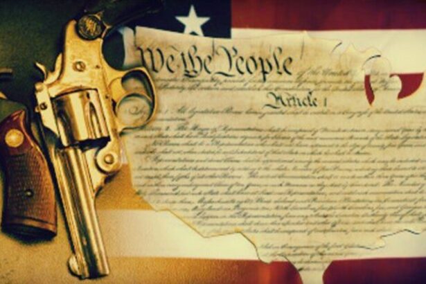 Mom Being Forced to Leave NYC Highlights the Folly of Dem Gun-Grabbing |