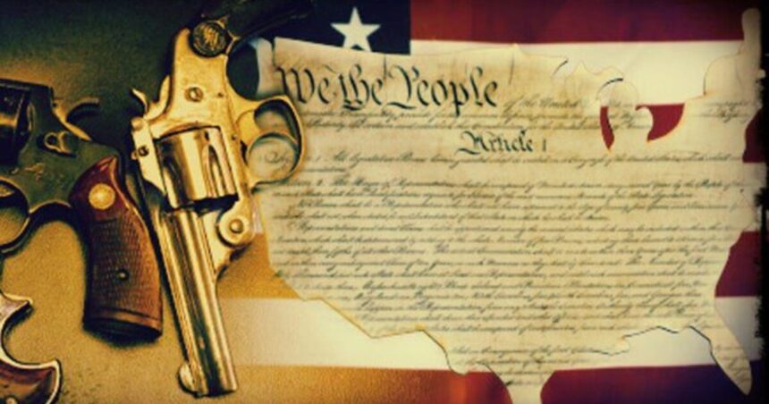 Mom Being Forced to Leave NYC Highlights the Folly of Dem Gun-Grabbing |