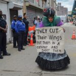 “Mother Pigeon,” the Artist Fighting to Save NYC’s Urban Birds